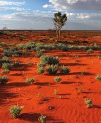 Follow @teqld for corporate updates. 71 Queensland Australien Ideen Australien Natur Australien Reise