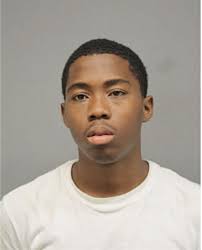 ᐅ Illinois Criminal Records 2009-2025