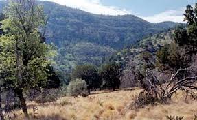 Pine springs has 40 campsites with a mix of rv lots and tent camping areas. Dog Canyon Guadalupe Mountains National Park U S National Park Service