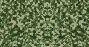 Paintball party green camo splash backdrop for birthday, paint splatter tags army camouflage background for men teen boys photo booth props lylu1292 9x6ft brand: Conflict Colorado Outdoor Laser Tag Camo Background Green