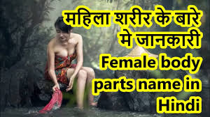 The male reproductive system consists of a number of organs that play a role in the process of human reproduction. à¤®à¤¹ à¤² à¤¶à¤° à¤° à¤• à¤¬ à¤° à¤® à¤œ à¤¨à¤• à¤° Female Body Parts Name In Hindi Female Reproductive System Youtube