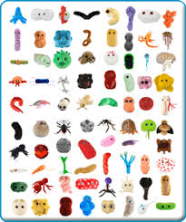 Gifts Like This For Geeks Like Me Who Doesn T Want A Little E Coli Salmonella For Their Birthday Science Geek Giant Microbes Plush Microbes