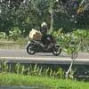 Dalam hadits ini disebutkan siapa yang membaca ayat kursi sebelum tidur akan mendapatkan penjagaan. Tembung Senthong Tegese A Papan Kanggo Nyimpen Berasb Papan Kanggo Nyimpen Bandhac Papan Kanggo Brainly Co Id