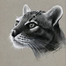 Maybe you would like to learn more about one of these? Realistic Pencil Animal Drawings Animal Drawings Realistic Animal Drawings Animal Art