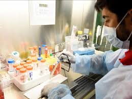 Перевод контекст y aurait il c французский на русский от reverso context: Coronavirus Y Aura T Il Un Vaccin Sciences Et Avenir