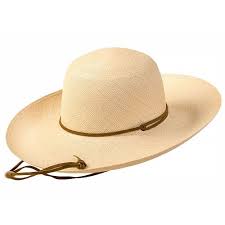 Gaucho Sunhat Pantropic 100 Straw Hat Fashionable Hats Sun Hats Hats Hats For Men