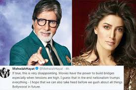Image result for mehwish hayat