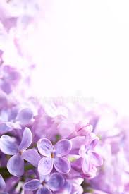 Art Spring Lilac Abstract Background Spring Flowers Abstract Light Background Aff Lilac Spring Art Abst Abstract Backgrounds Flower Images Abstract