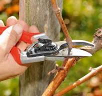 FELCO 8 Ergonomic Hand Pruner