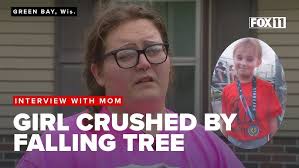 Best of the Class 2024: Student video 6