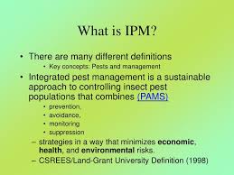 This integrated pest management (ipm) chapter from the extension gardener handbook familiarizes readers integrated pest management was first suggested by entomologists because insects were the first group of while heavy mulch is good for weed management, it gives slugs a place to hide. Ppt Ipm Of Insect Pest Powerpoint Presentation Free Download Id 6994526