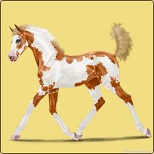 Horse Eden Eventing Horses Horse Games Sport Horse