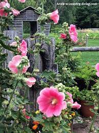 Tour A Country Garden At The Farm Town Country Living Country Gardening Farm Town Country House Decor