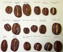 It Isn T Just About The Beans Useful Tips To Get A Great Cup Of Coffee Fakten Uber Kaffee Mocca Kaffee