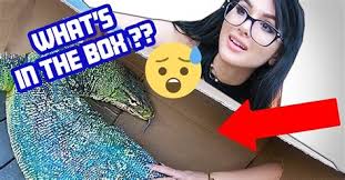 Reacting to sssniperwolf relationship tiktok. Scary Stuff Sssniperwolf Tik Toks That Are Actually Funny Youtube In 2020 Funny Hope You All Have A Great Weekend Suggest