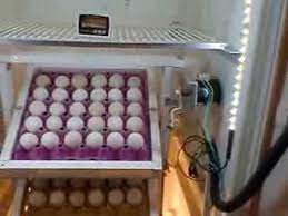 el yapimi buzdolabindan kulucka makinasi incubator ycl diy youtube tavuk kumesleri kulucka buzdolaplari