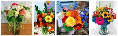 501 1/2 jefferson davis hwy. 6 Best Flower Delivery In Fredericksburg Virginia 2021