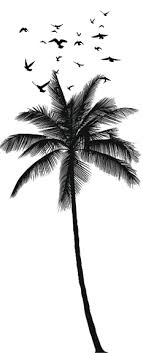 We did not find results for: Agensi Perakuan Pembetungan Majaari Services Sdn Bhd