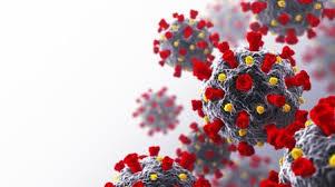Berita Harian Mutasi Virus Corona - CNN Indonesia