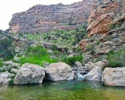 Image of تفرجگاه پلنگان