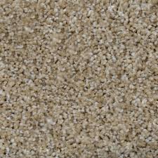 Home Decorators Collection Carpet Sample Dress Up Ii Color Roswell Texture 8 In X 8 In Carpet Samples Rugs On Carpet Carpet