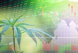 Exposing Sundial Growers, Ticker Sndl : R/Wallstreetbets