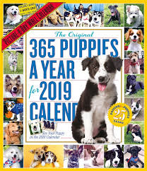 On the command of men wearing money belts that buy mistresses sleek animal pelts. 365 Puppies A Year Picture A Day Wall Calendar 2019 Nataraj Books