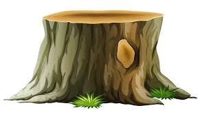 Tree Stump Clip Art Tree Stump Creative Gardening Picture Tree
