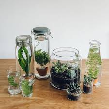 Instagram Photo By India Magnus Jun 1 2016 At 6 48pm Utc Plants In Jars Aquatic Plants Plants