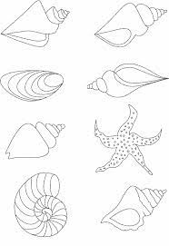 coloriage coquillage de mer a colorier dessin imprimer drawings embroidery patterns art handouts camion chat