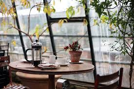 Shop wayfair.co.uk for conservatory coffee tables & side tables to match every style and budget. Conservatory Coffee Plants Free Photo On Pixabay