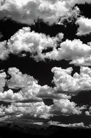 Aesthetic Black And White Lightning Background Mountain Clouds Kunsttryk Af Skovene Edge Fotografi Diane Sandoval In 2020 Black And White Photo Wall Black Aesthetic Wallpaper Black And White Picture Wall