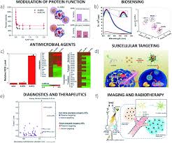 Transcribed image text from this question. Biomolecular Interactions Of Ultrasmall Metallic Nanoparticles And Nanoclusters Nanoscale Advances Rsc Publishing Doi 10 1039 D1na00086a