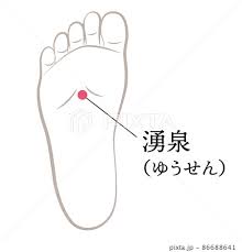 足のツボ 湧泉のイラスト素材 [86688641] - PIXTA
