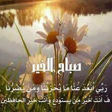 صبـــاح الخيــر photo photography flowers