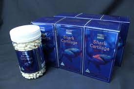 Weekdays sync data in phone app, weekends sync with the season 6 tracker. 6 X Costar Australia Blue Shark Cartilage 750mg 365 Capsules For Joint Health Exitroom De