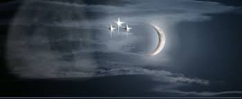 Cocker spaniel puppies available from uk imported working/field trial bloodlines. Nightwind Collies Akc Registered Purebred Rough Collies For Sale In Western Pa