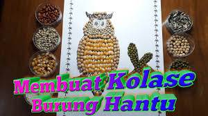 Gambar burung hantu kolase biji bijian. Cara Membuat Kolase Burung Hantu Dari Biji Bijian Youtube