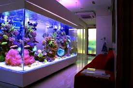 Pin By Mark Simmons On Fish Aquaria P Rn Amazing Aquariums Aquarium Design Fish Tank Wall