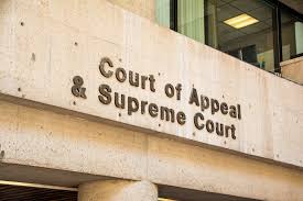 (b) the court of appeals exercises its discretion to permit the later filing of a declaration or notarized statement that satisfies rule 4(c)(1)(a)(i). Punky The Dog Is Dangerous Court Rules Vancouver Is Awesome