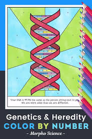 Genetics And Heredity Color By Number Worksheet Video In 2020 Science Genetics Heredity