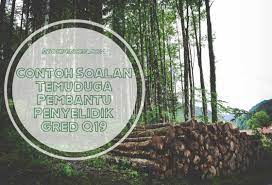Pegawai teknolgi maklumat gred f41 2. Contoh Soalan Temuduga Pembantu Penyelidik Gred Q19
