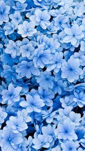 Untitled Background Cute Wallpaper Blue Lockscreen Flower Tagforlikes Followback Instafollow Light Blue Aesthetic Blue Aesthetic Pastel Blue Flowers