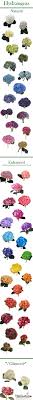 Flower names names associated with flowers. 61 Flower Colors And Names Ideas Flower Names Wedding Flowers Flower Arrangements
