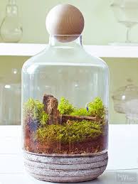 Terrarium Fairy Gardens Fairy Garden Garden Figurines Garden Fairies Figurines