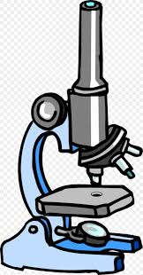 More images for how to draw a light microscope step by step » Light Optical Microscope Drawing Phase Contrast Microscopy Png 900x1716px Light Artwork Black And White Cell Cell