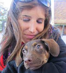 The dobermann, (/ ˈ d oʊ b ər m ə n /; Adopt Don T Shop 7 Long Island No Kill Animal Shelters