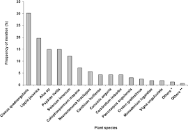 Image result for Psydrax livida
