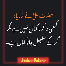 Tumhara aik rab hai fir bhi tum usey yaad nahin karte, lekin uske kite bande hain fir bhi tumko nahin bhoolta. Best Quotes In Urdu Ali Quotes Possitive Quotes Hazrat Ali
