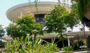 There are a total of 1,783 residential suites in edusentral setia alam, located in 6 beautiful towers that are all named after renowned educational institutions. Elephants Mangoes A Walkabout Setia Eco Park Lifestyle Hub